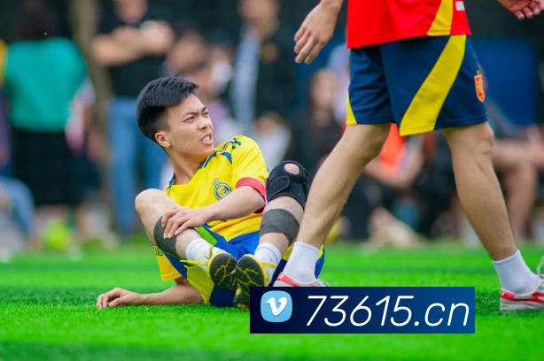 pg官网地址平台生态图